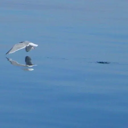 Apartment Duenenblick Seepferdchen