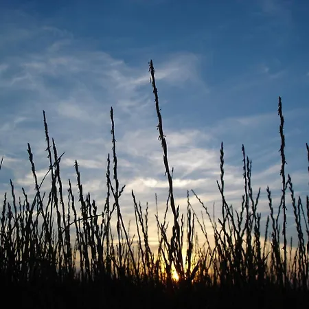 Apartment Duenenblick Seepferdchen Timmendorfer Strand