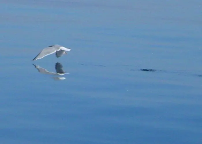 Διαμέρισμα Duenenblick Seepferdchen