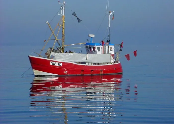 Duenenblick Seepferdchen *