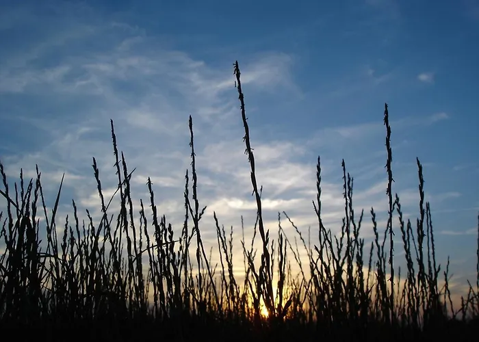 Apartment Duenenblick Seepferdchen Timmendorfer Strand